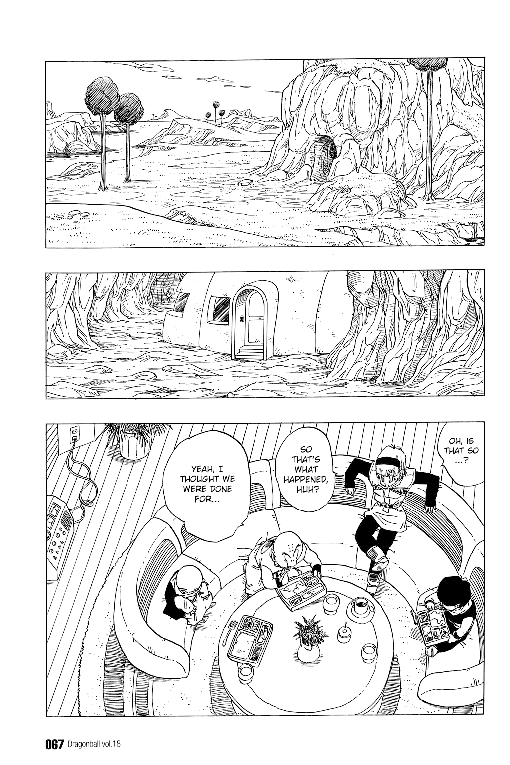 Dragon Ball chapter 259 page 6