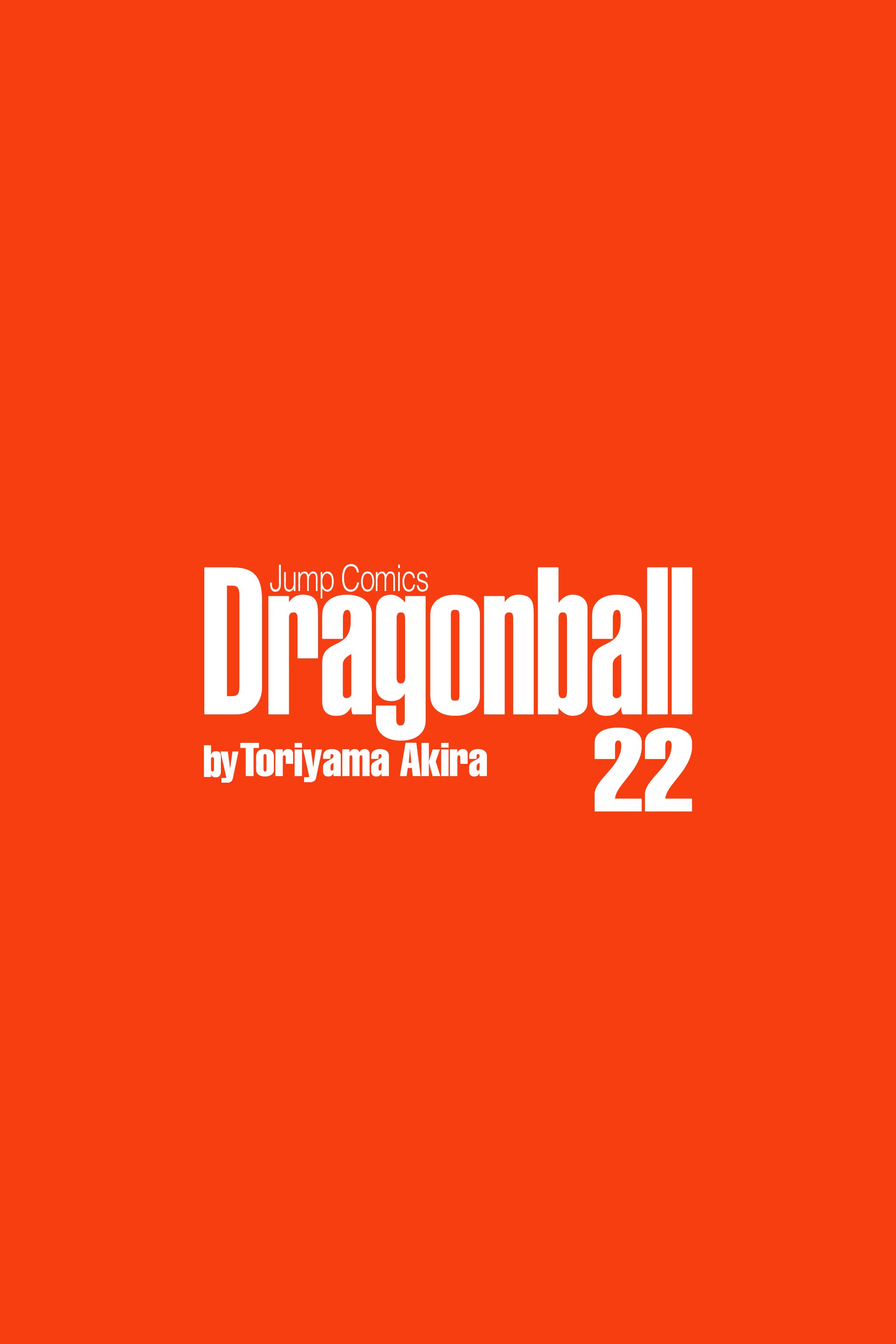 Dragon Ball chapter 315 page 3