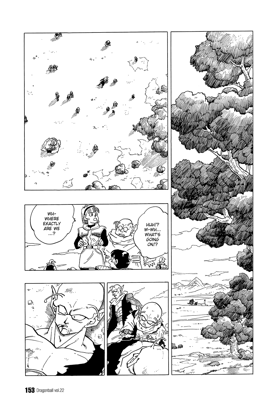 Dragon Ball chapter 324 page 12