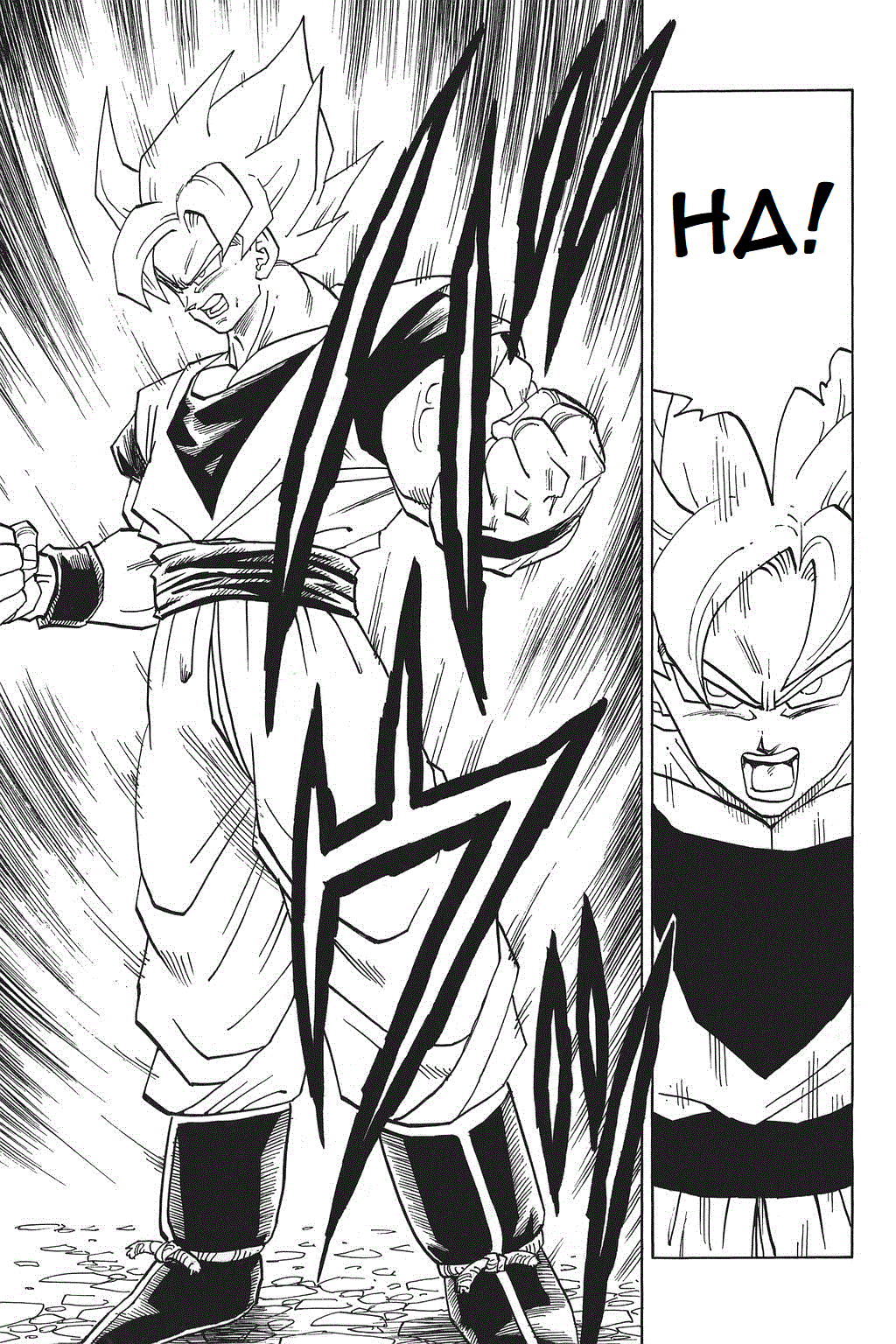 Dragon Ball chapter 391 page 13