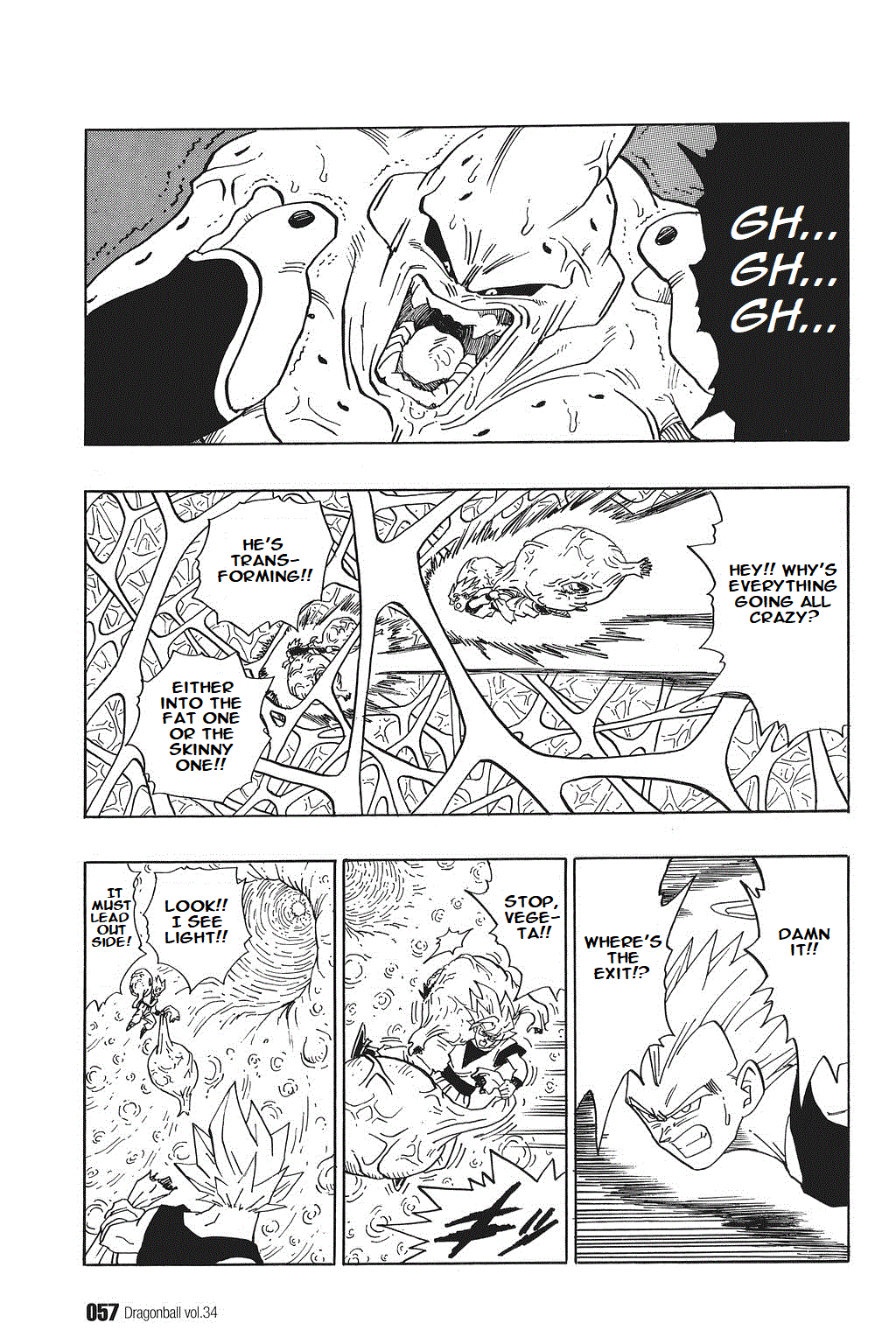 Dragon Ball chapter 507 page 11