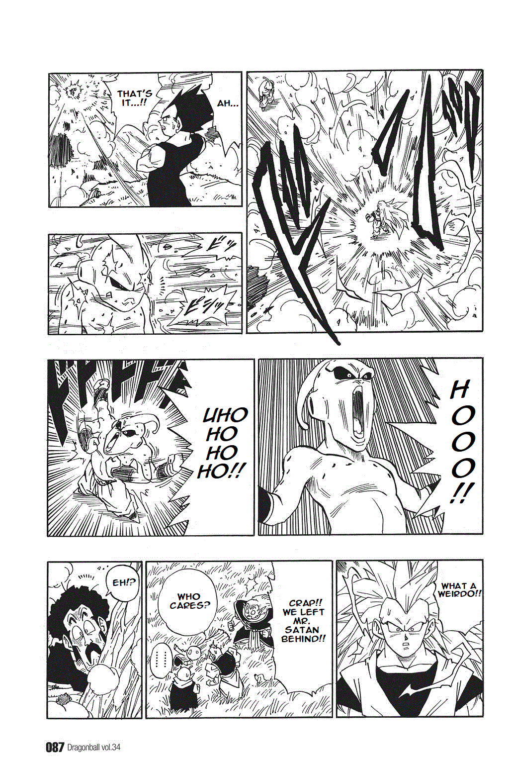 Dragon Ball chapter 509 page 13