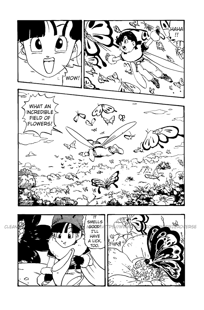 Dragon Ball GT chapter 16 page 13