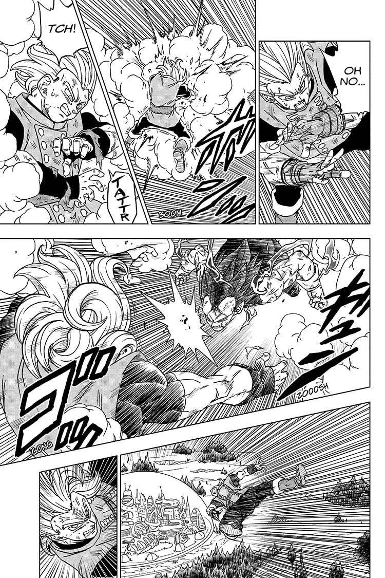 Dragon Ball Super chapter 76 page 25
