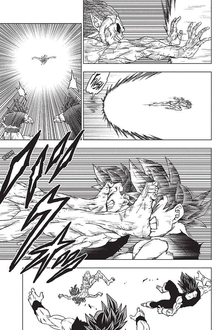 Dragon Ball Super chapter 87 page 15