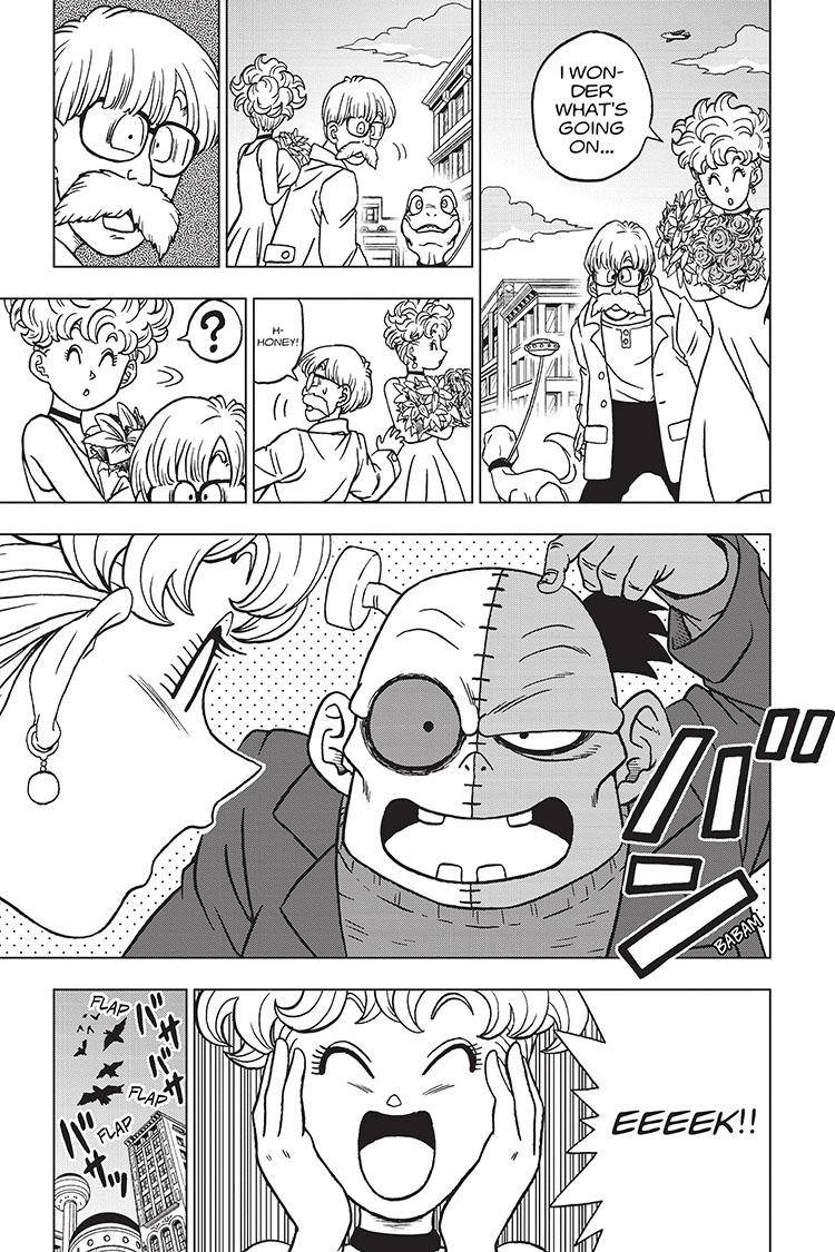 Dragon Ball Super chapter 88 page 17