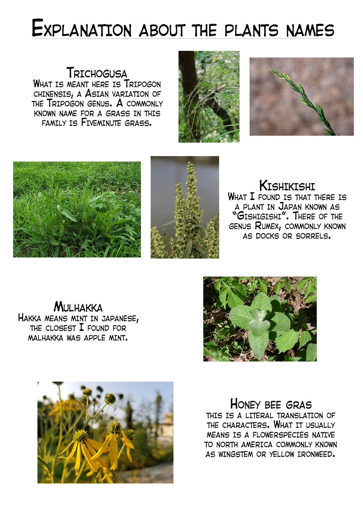 Dragon Daddy Diaries: A Girl Grows to Greatness chapter 18 page 28