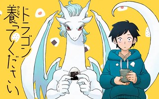 Cover of Dragon Yashinatte Kudasai