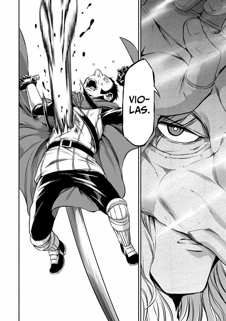 Dungeon ni Deai o Motomeru no wa Machigatte Iru Darou ka Gaiden - Sword Oratoria chapter 24 page 25