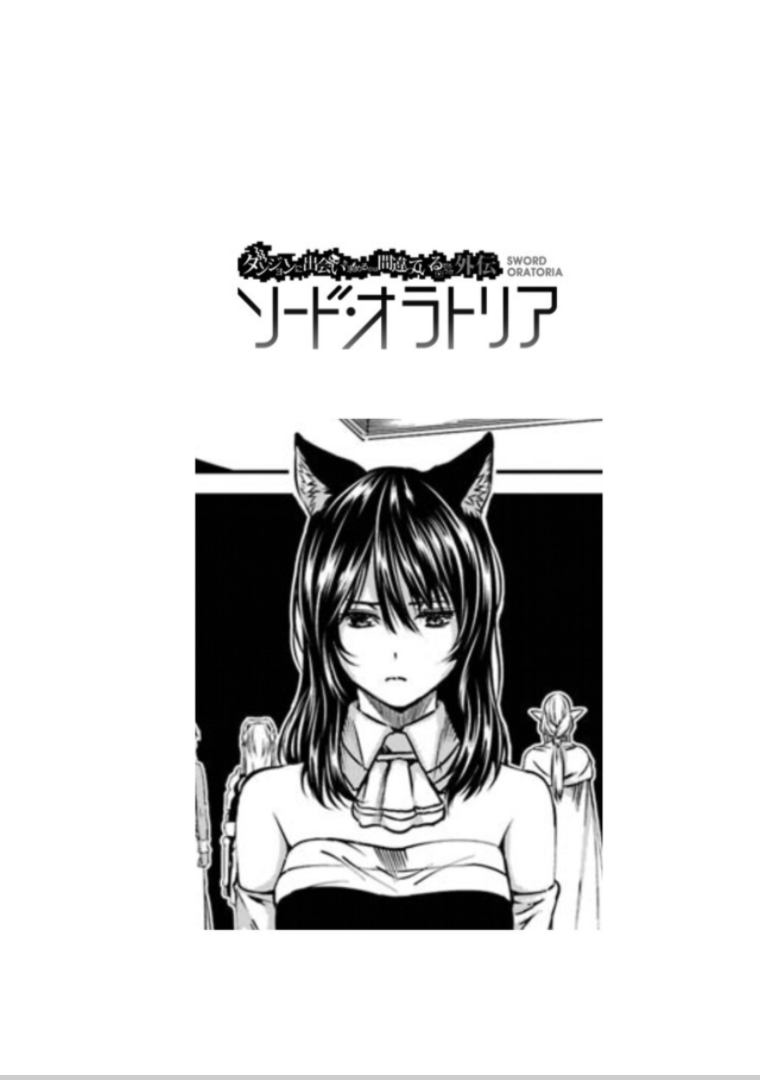 Dungeon ni Deai o Motomeru no wa Machigatte Iru Darou ka Gaiden - Sword Oratoria chapter 63 page 40