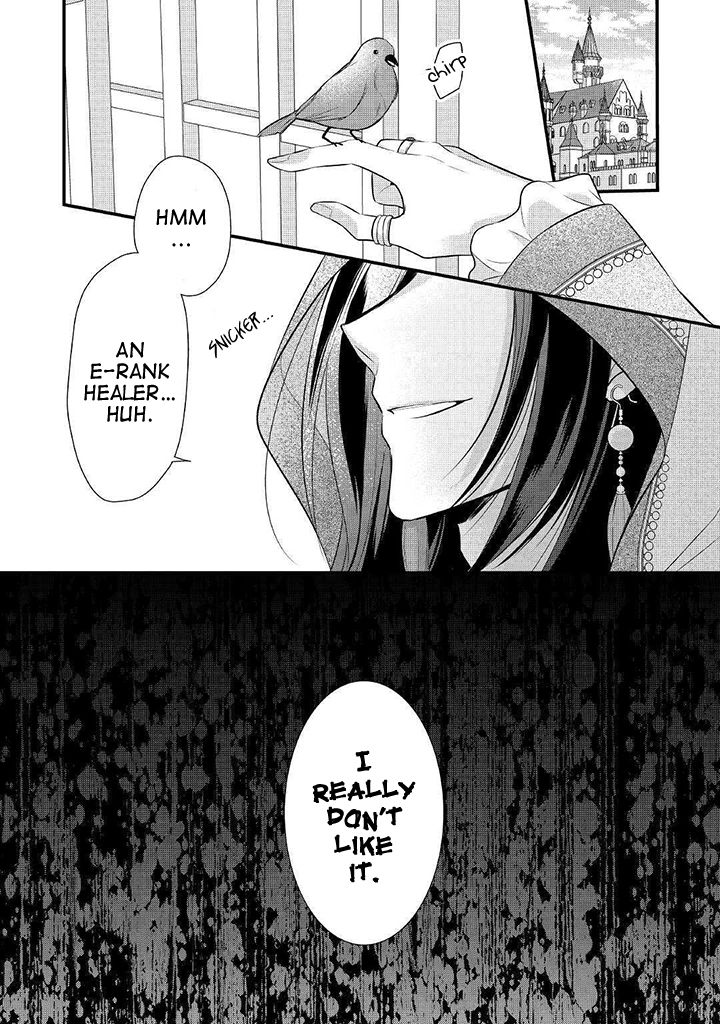 E-Rank Healer chapter 8 page 29