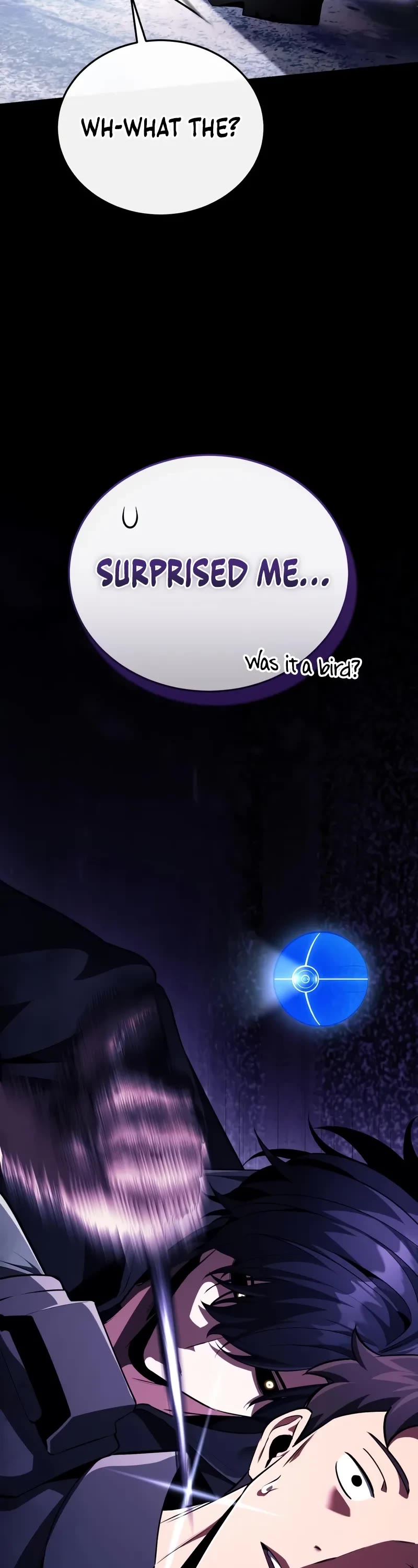 Echoes of the Reverse Planet chapter 11 page 13