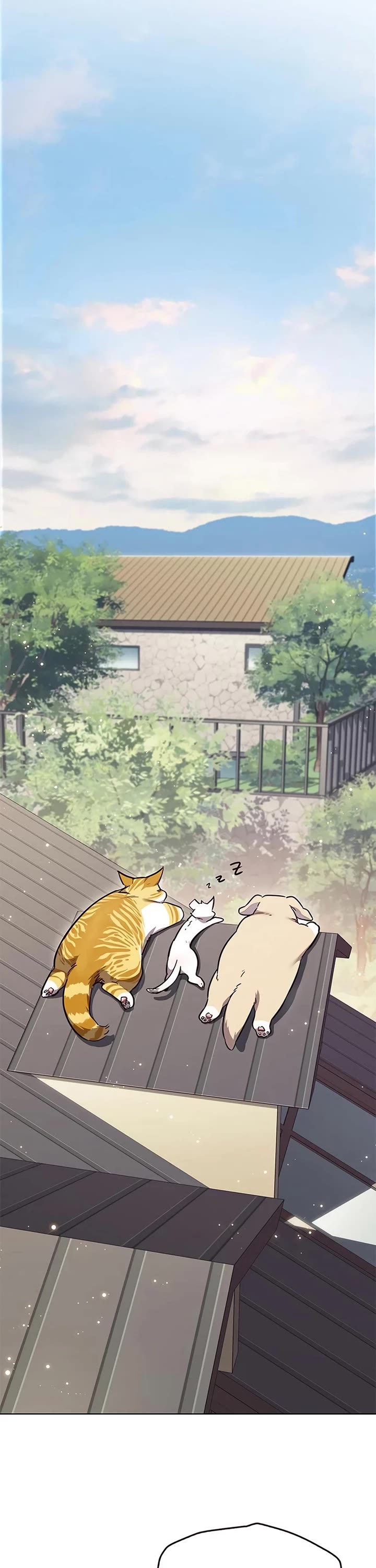 Eleceed chapter 347 page 19