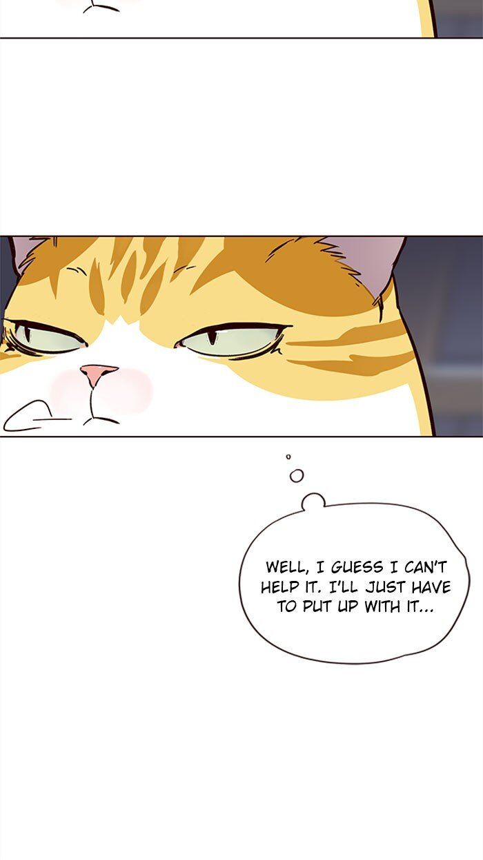 Eleceed chapter 35 page 47