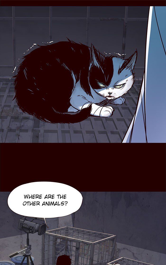 Eleceed chapter 36 page 10