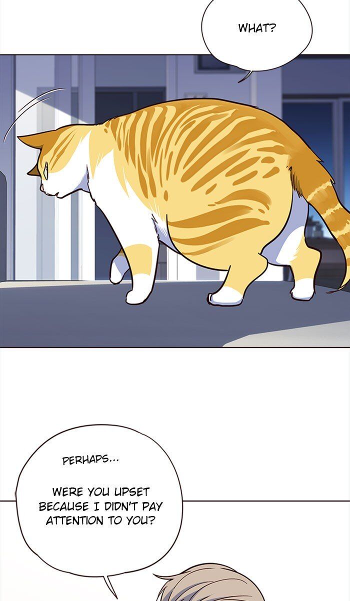 Eleceed chapter 36 page 63