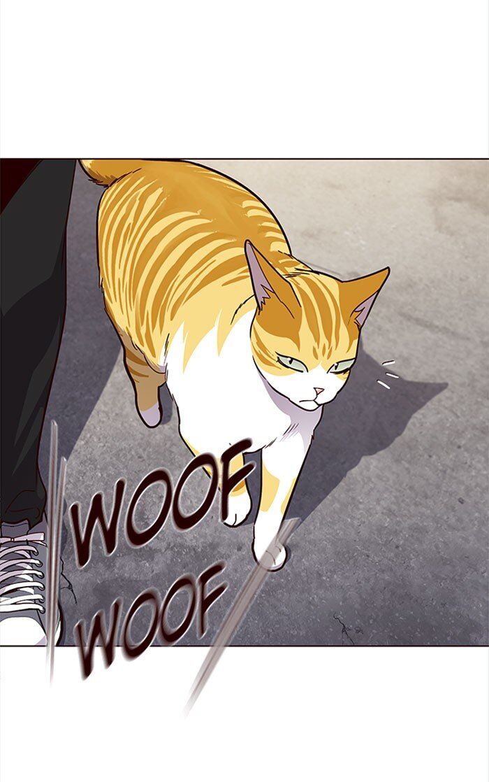 Eleceed chapter 36 page 78