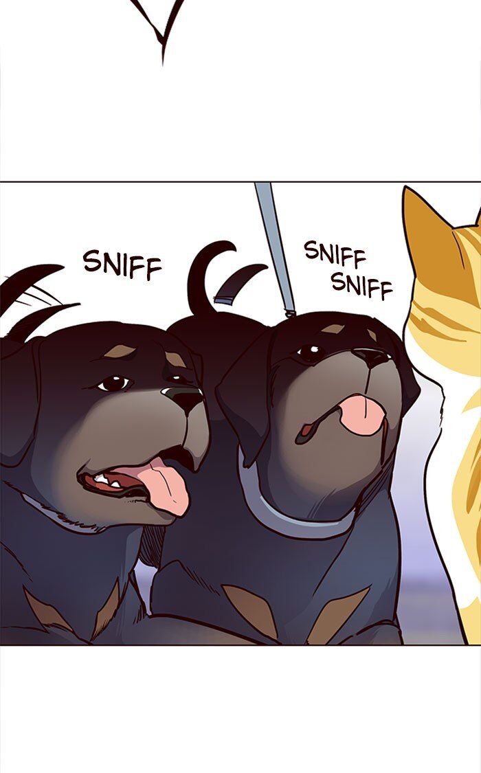 Eleceed chapter 36 page 96