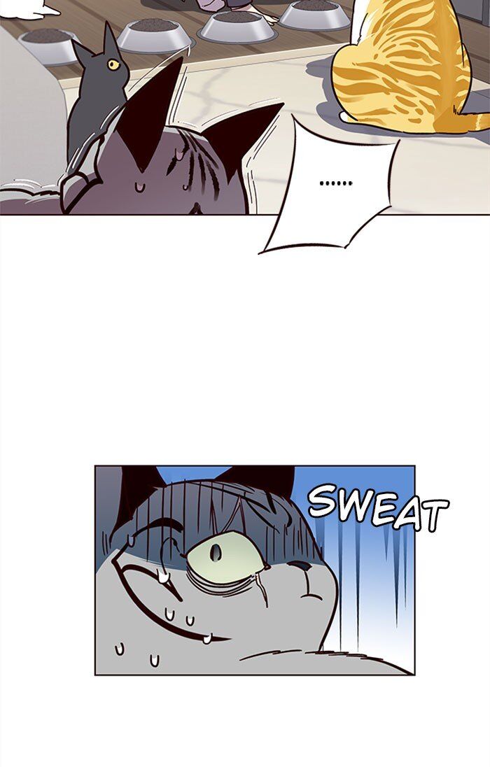 Eleceed chapter 37 page 33