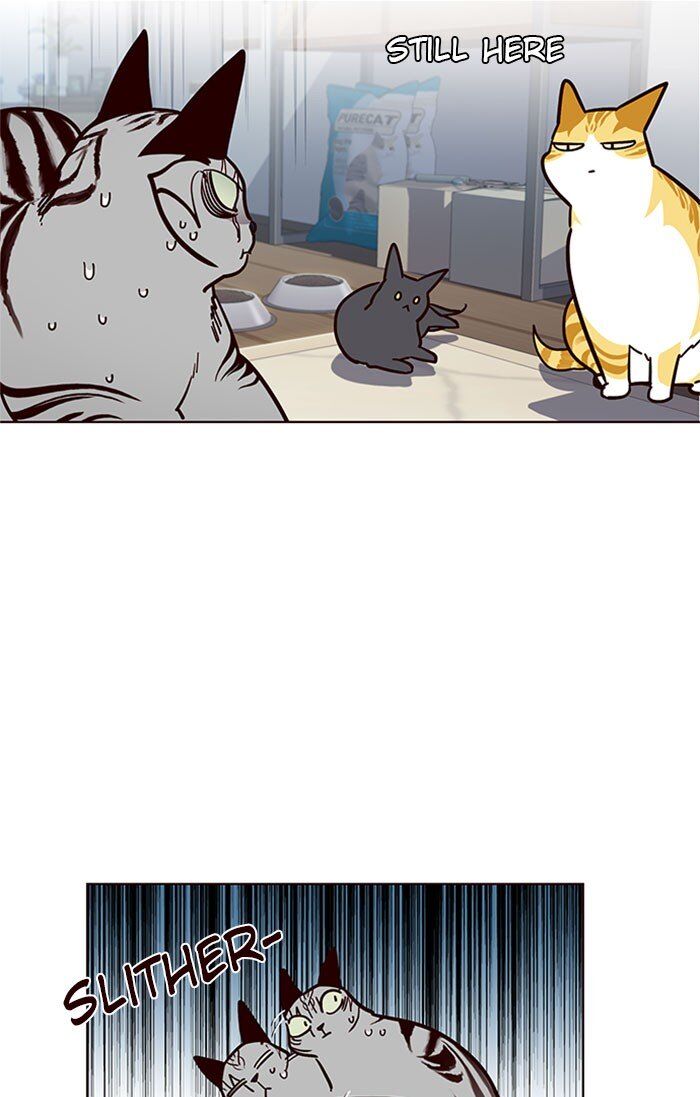 Eleceed chapter 37 page 40