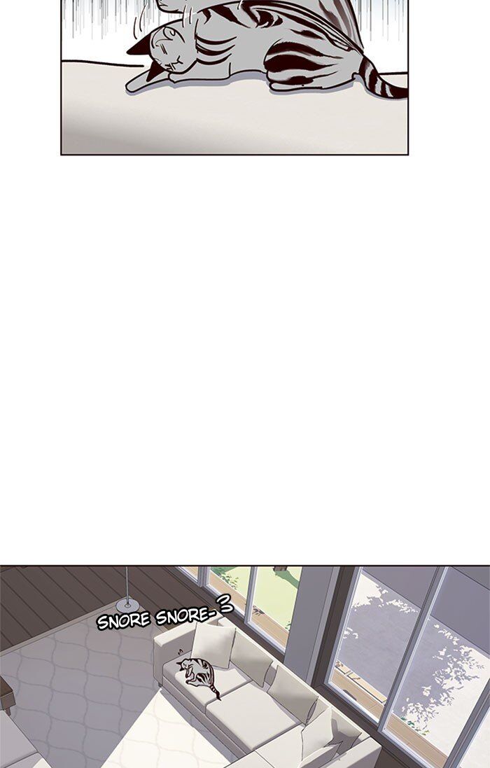 Eleceed chapter 37 page 41