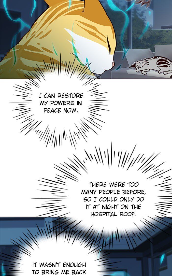 Eleceed chapter 37 page 44