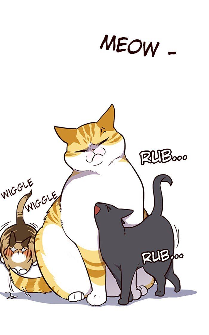 Eleceed chapter 37 page 47