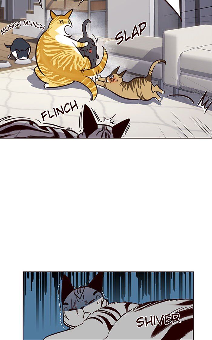 Eleceed chapter 37 page 49