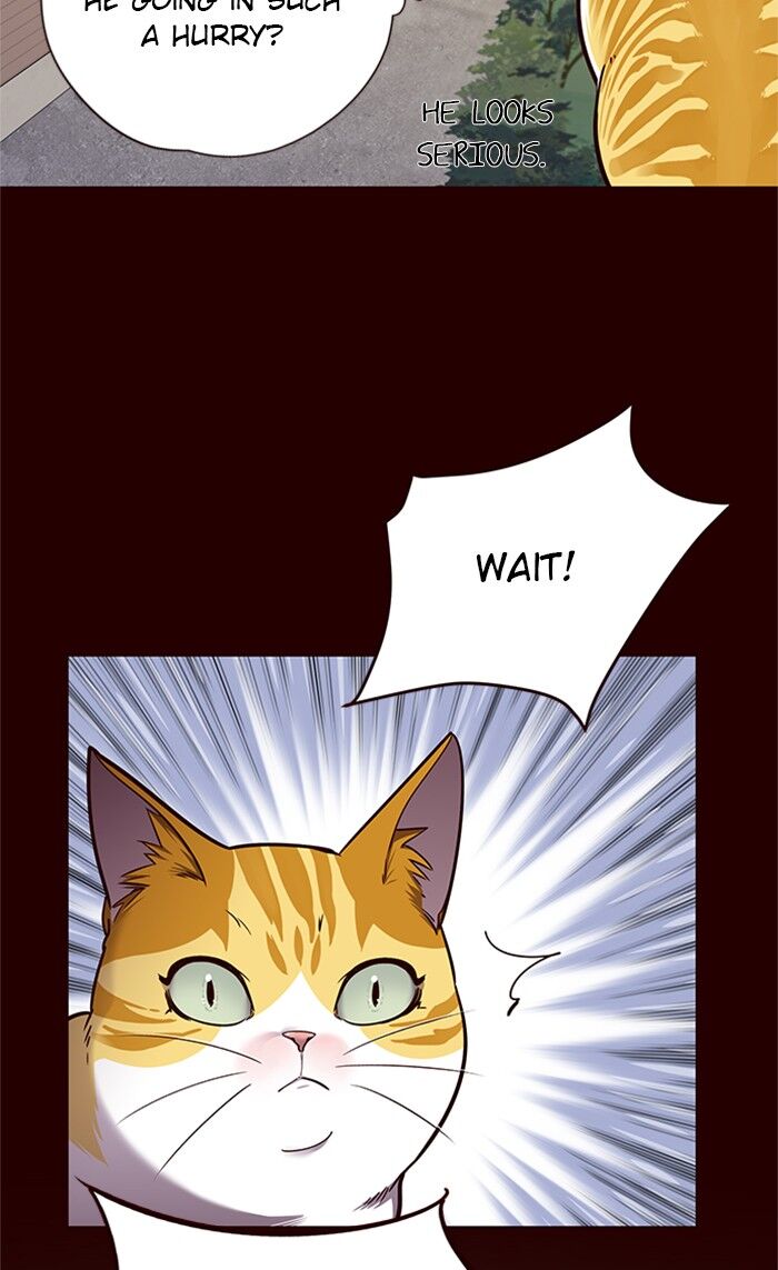 Eleceed chapter 52 page 41