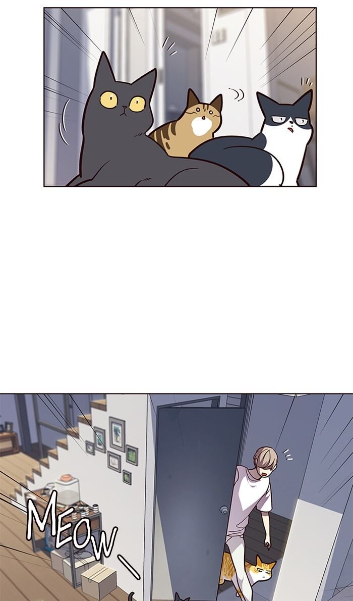 Eleceed chapter 55 page 11