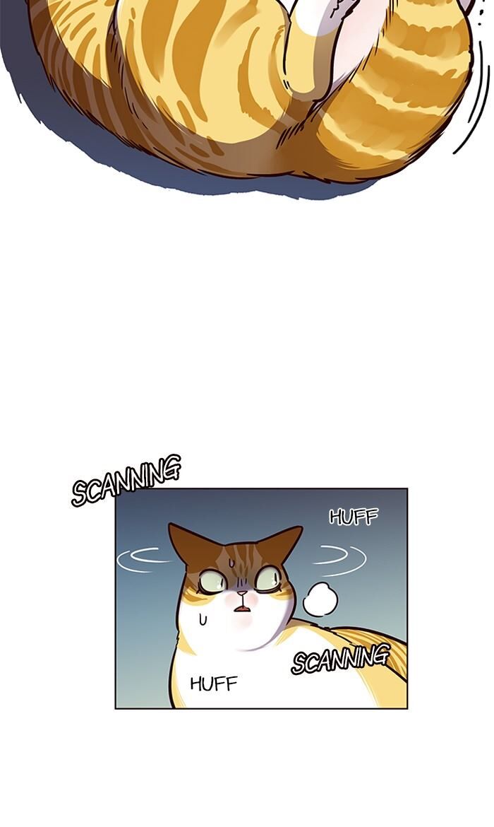 Eleceed chapter 56 page 15