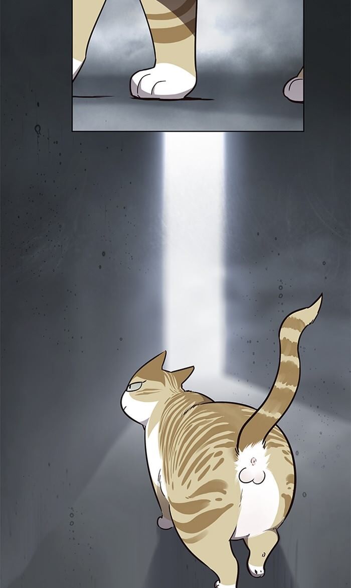 Eleceed chapter 56 page 2