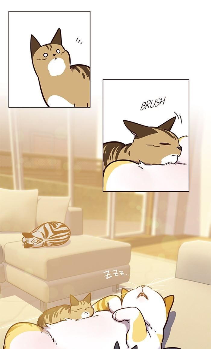 Eleceed chapter 56 page 21