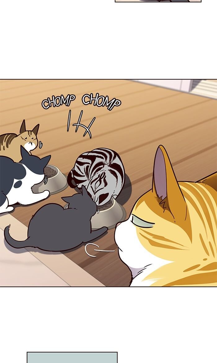 Eleceed chapter 56 page 60