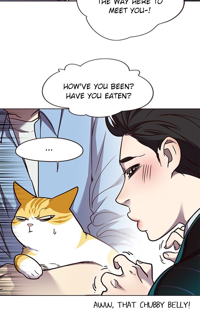 Eleceed chapter 62 page 41