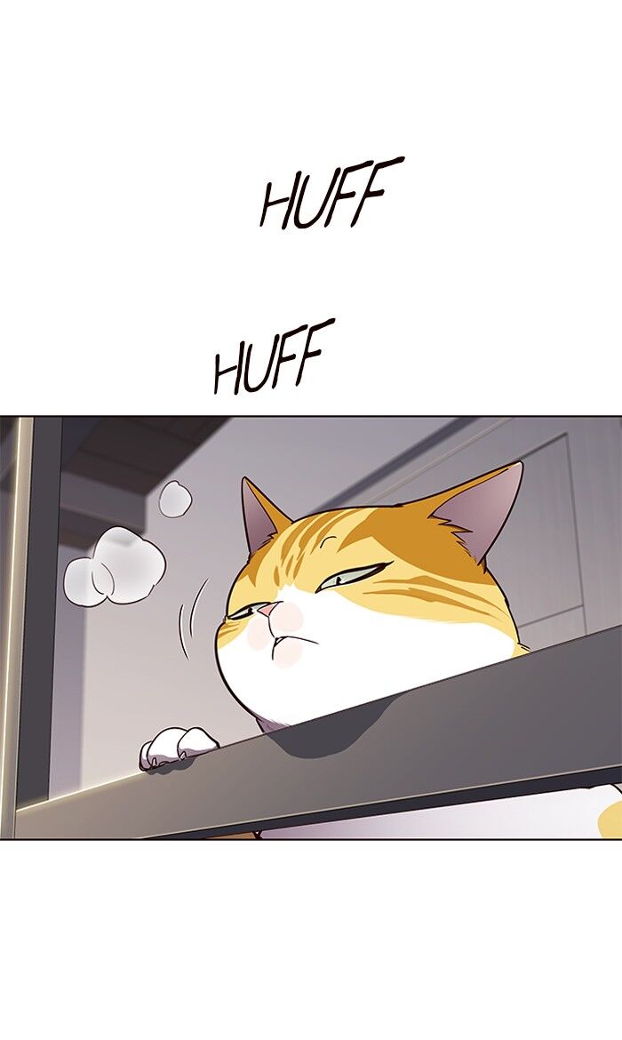 Eleceed chapter 64 page 51