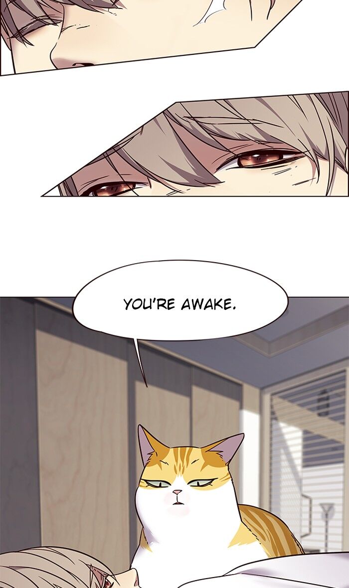 Eleceed chapter 88 page 15