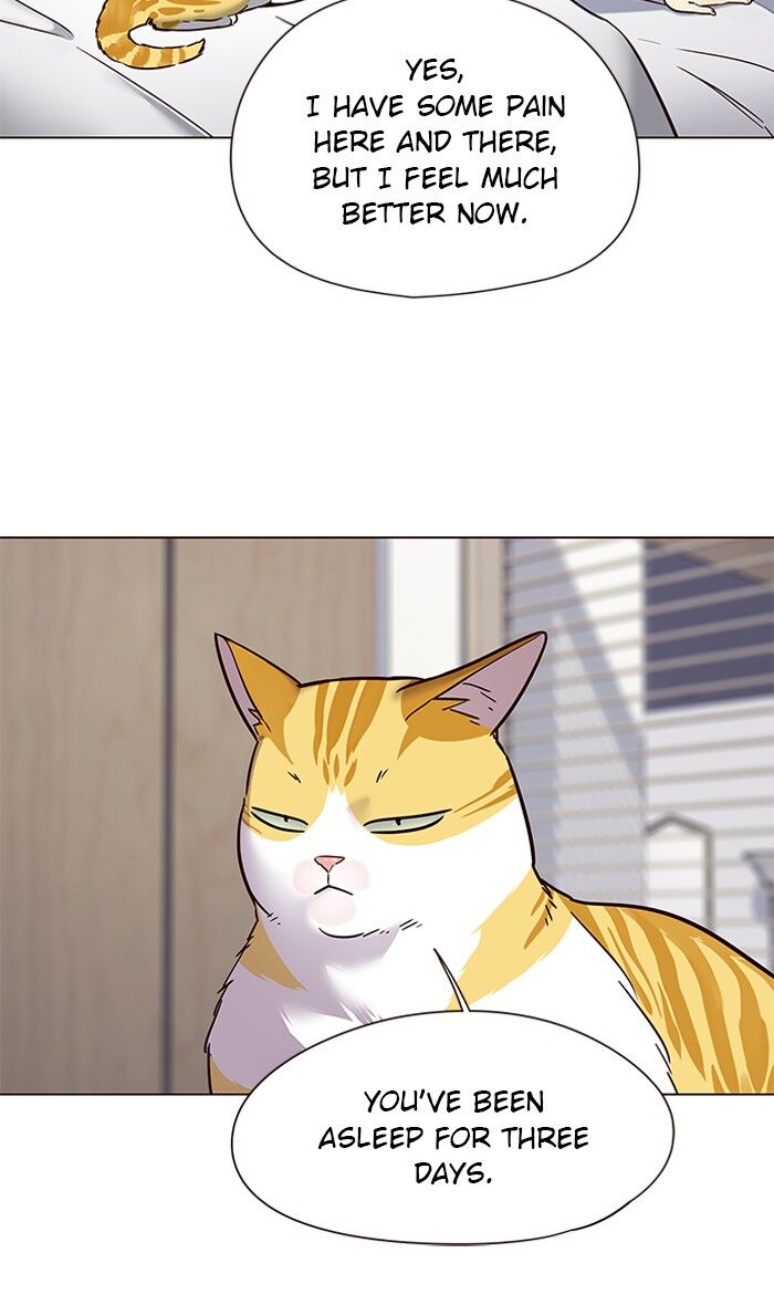 Eleceed chapter 88 page 17