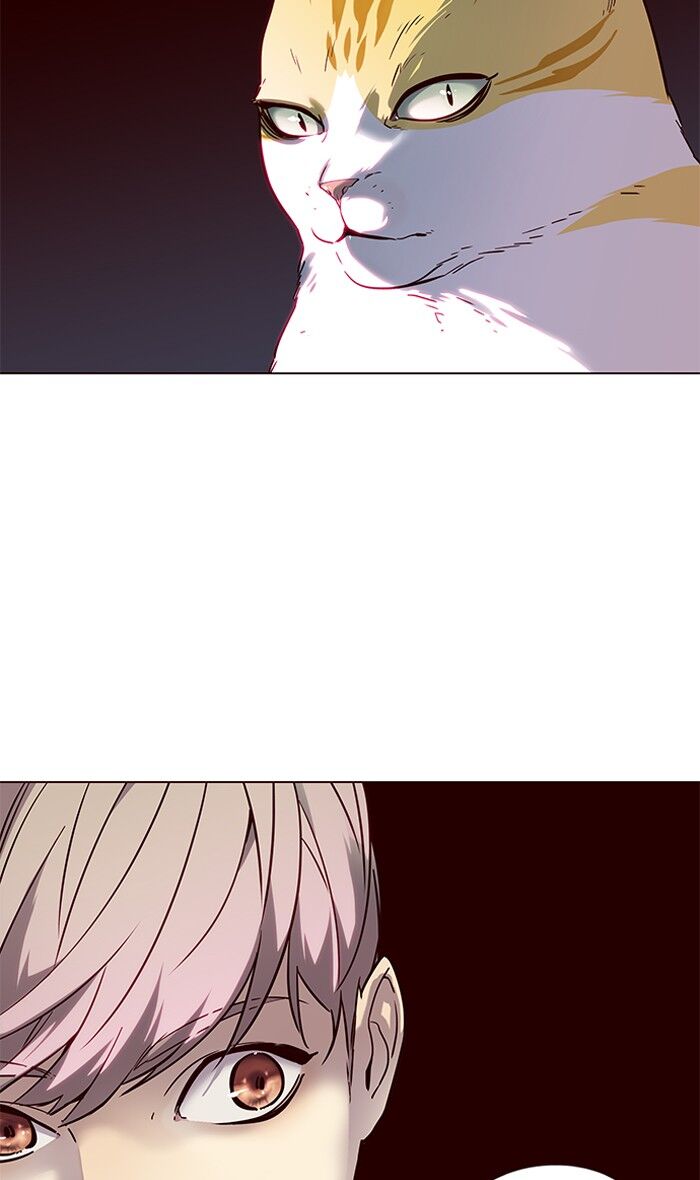 Eleceed chapter 88 page 23