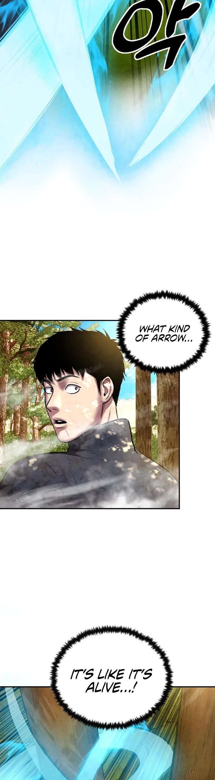 Embodiment of the Assassin in the Murim World chapter 48 page 11