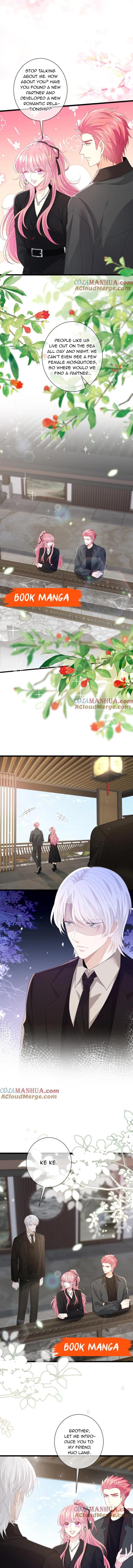 Embrace My Shadow chapter 490 page 2