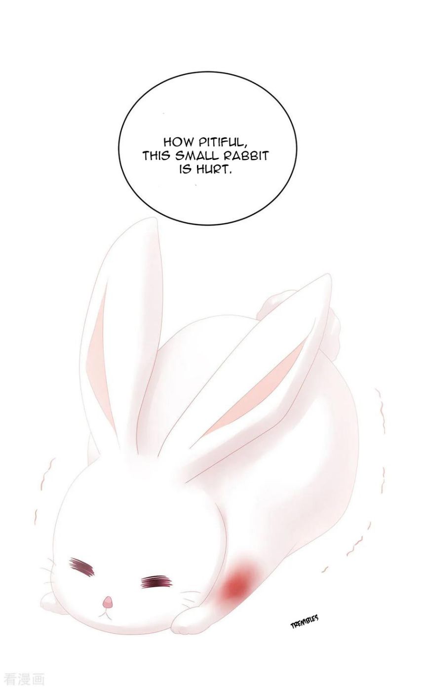 Empress’s Harem chapter 113 page 33