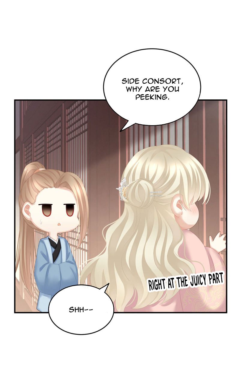 Empress’s Harem chapter 138 page 25