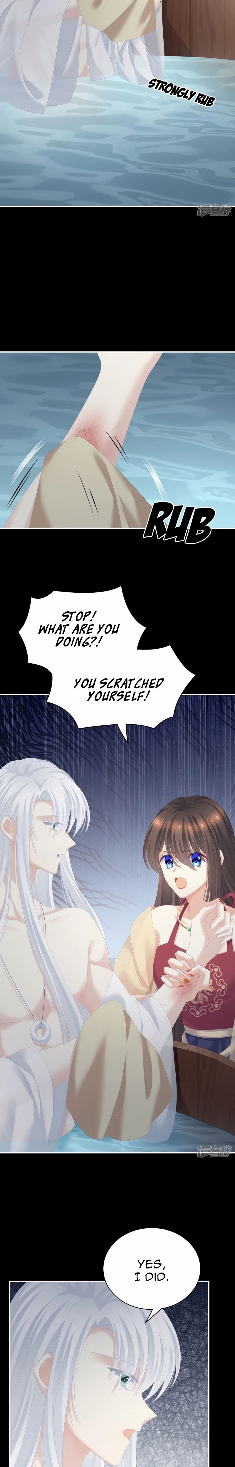 Empress’s Harem chapter 242 page 2