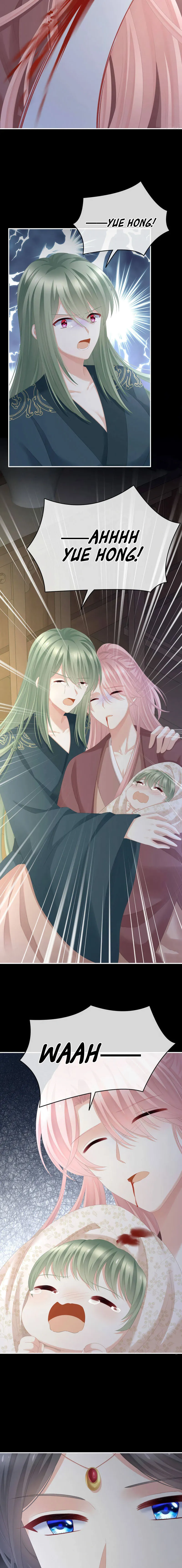 Empress’s Harem chapter 294 page 2
