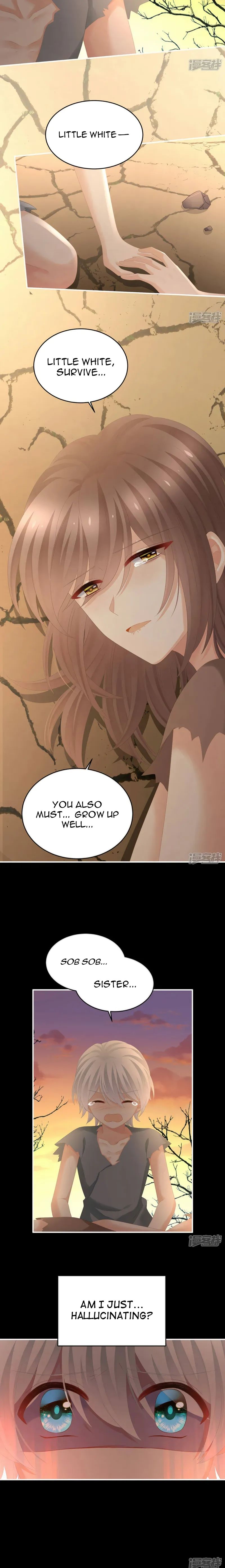 Empress’s Harem chapter 301 page 3