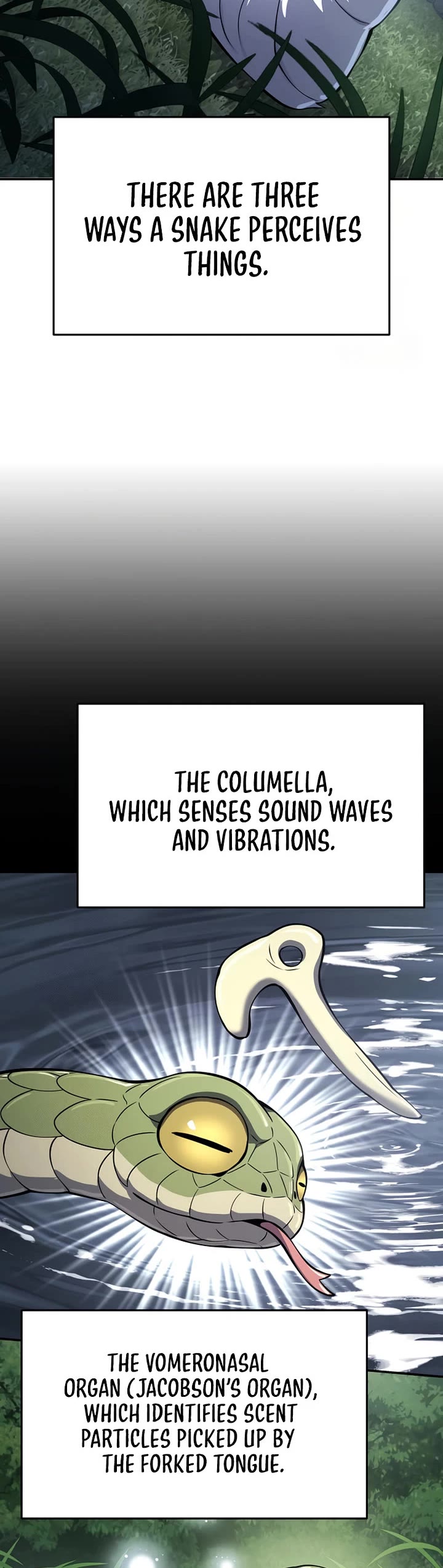 Entomologist in Sichuan Tang Clan chapter 59 page 4