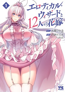 Cover of Erotical Wizard and 12 Brides