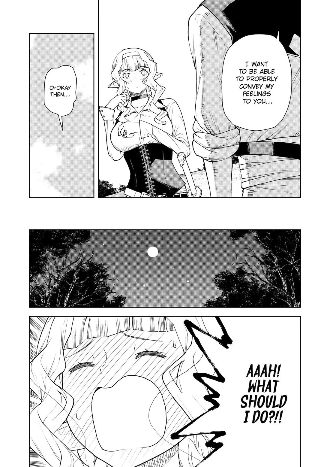 Even the Elf Captain Wants to be a Maiden chapter 48 page 3