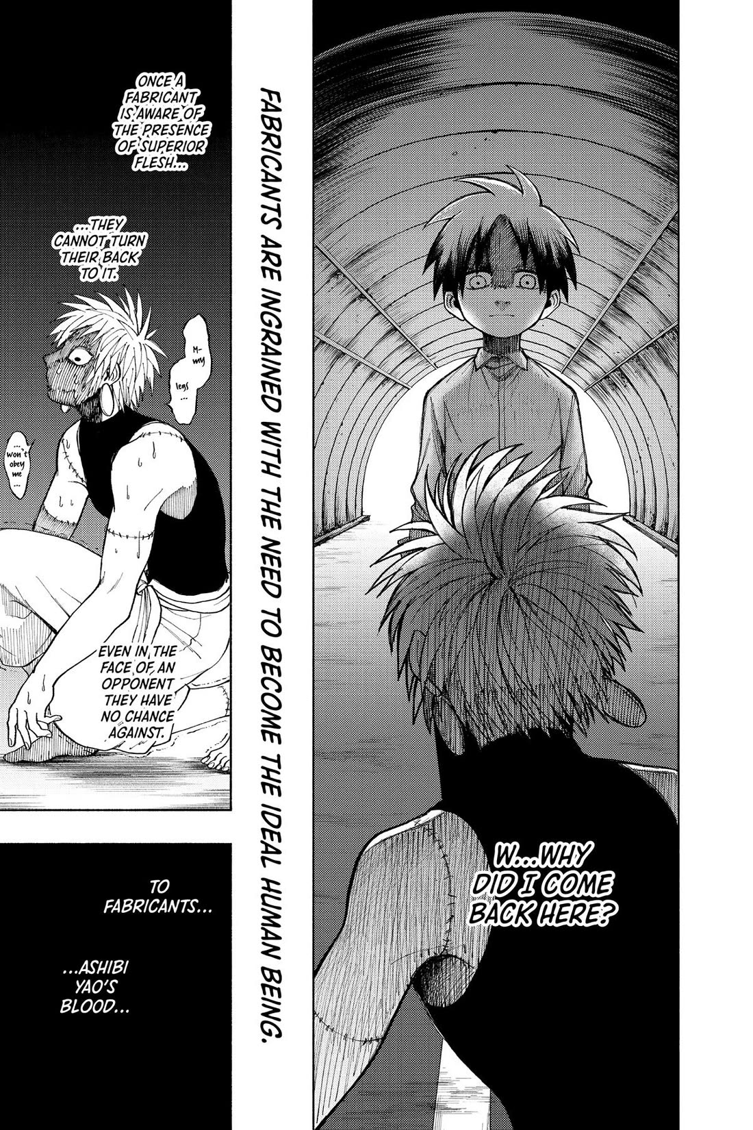 Fabricant 100 chapter 36.6 page 41